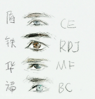 眠狼钢铁侠和小蜘蛛
