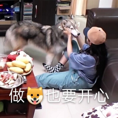 杨超越表情包 来源微博