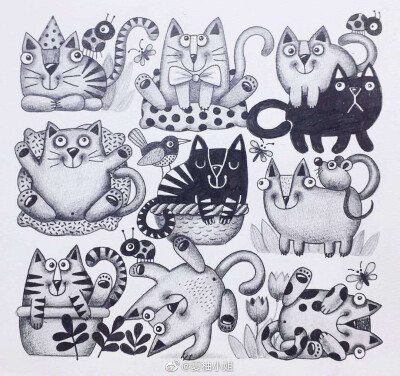 可可爱爱的小动物合集，出处未知