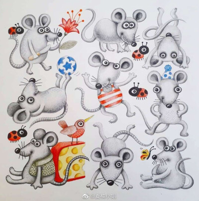 可可爱爱的小动物合集，出处未知