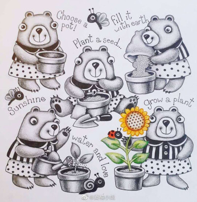 可可爱爱的小动物合集，出处未知