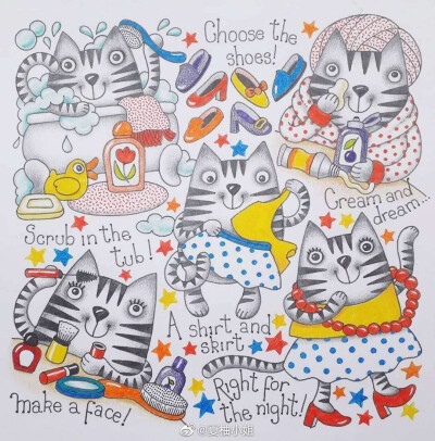 可可爱爱的小动物合集，出处未知