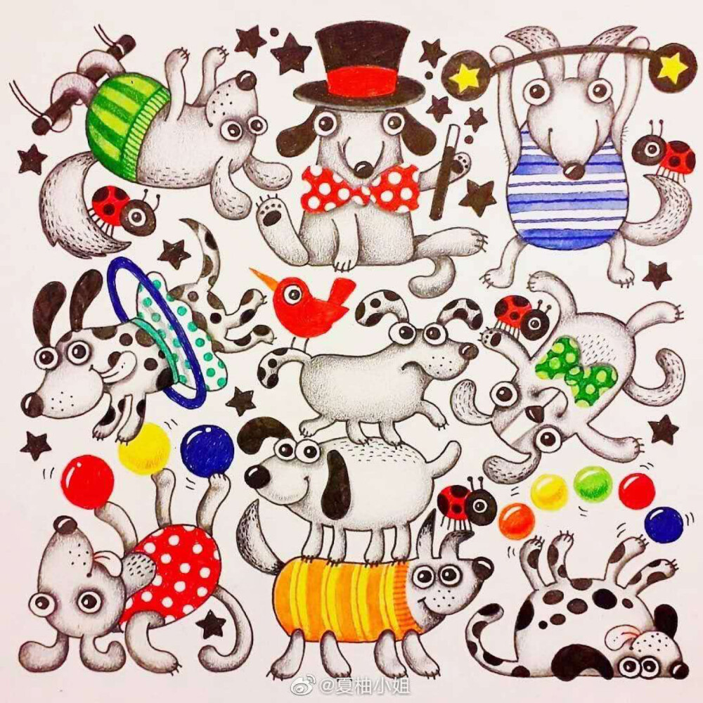 可可爱爱的小动物合集，出处未知