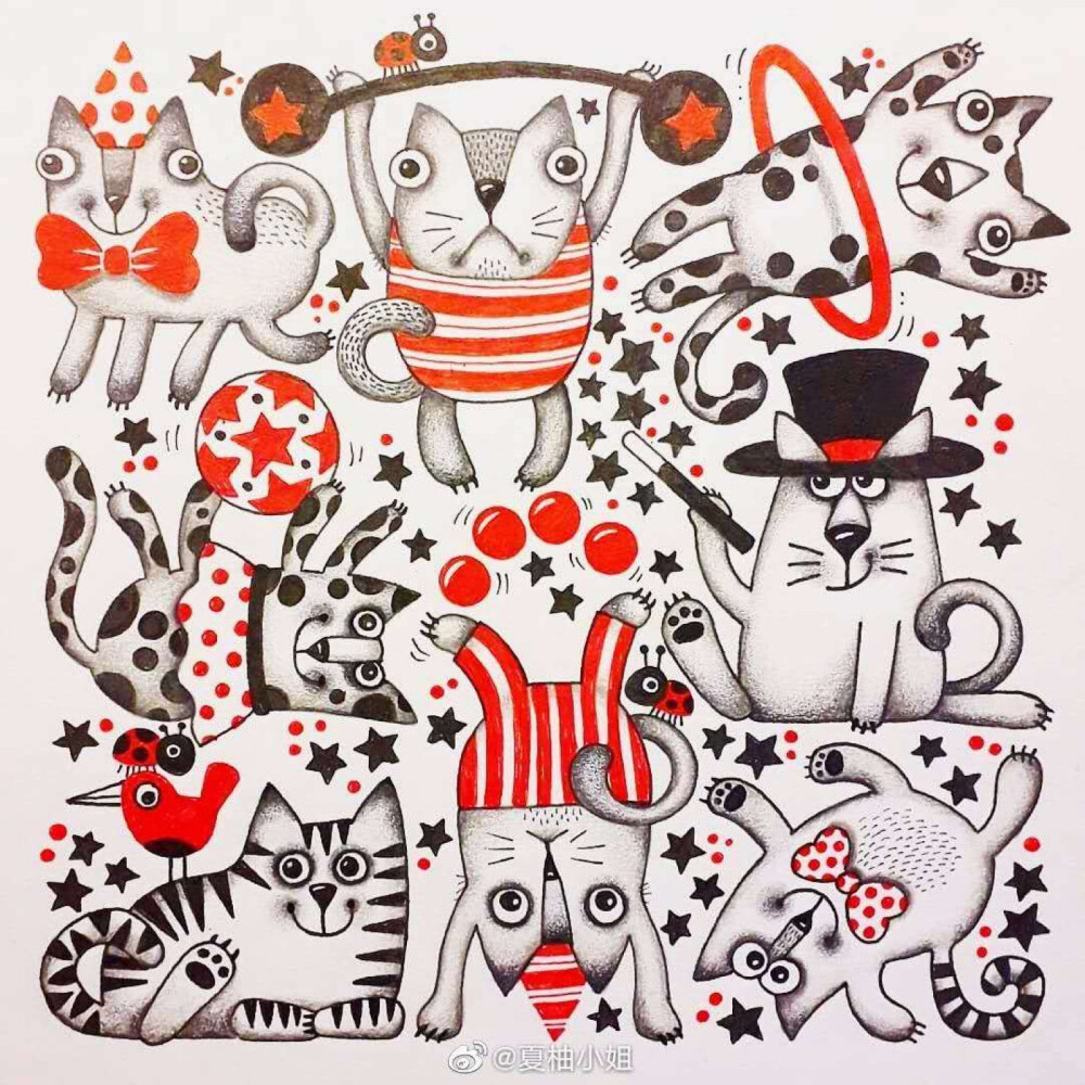 可可爱爱的小动物合集，出处未知