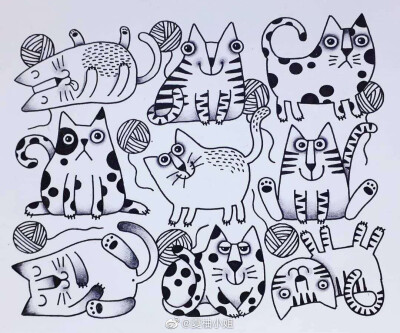 可可爱爱的小动物合集，出处未知