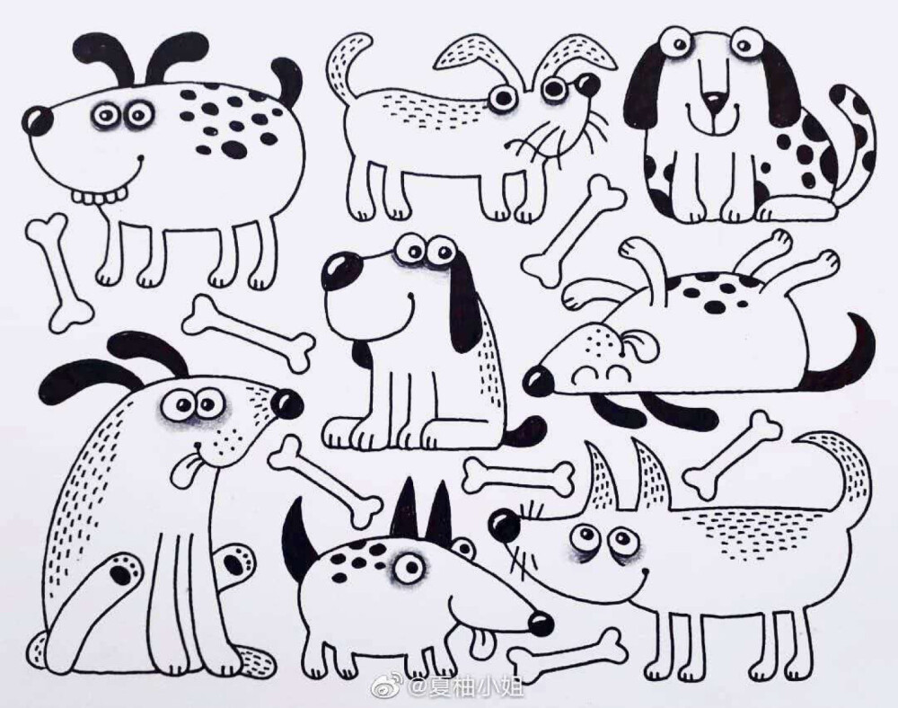 可可爱爱的小动物合集，出处未知