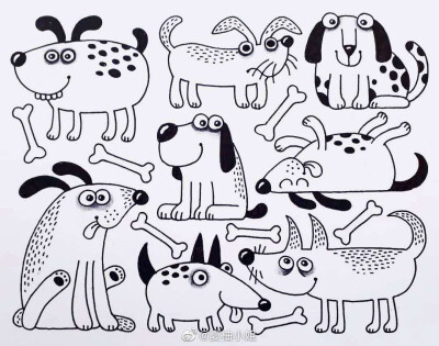 可可爱爱的小动物合集，出处未知