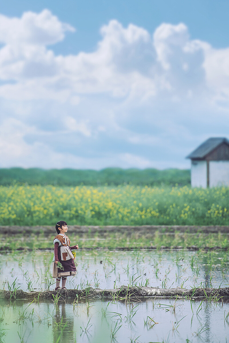 风景素材