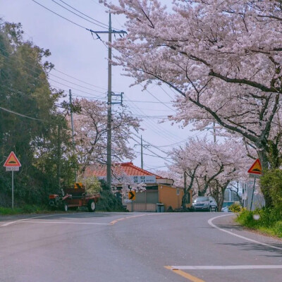 愿山野都有雾灯，你手持火把渡岸而来，点亮我孤妄的青春，此后夜车不再驶向孤岸，风雨漂泊都有归舟.