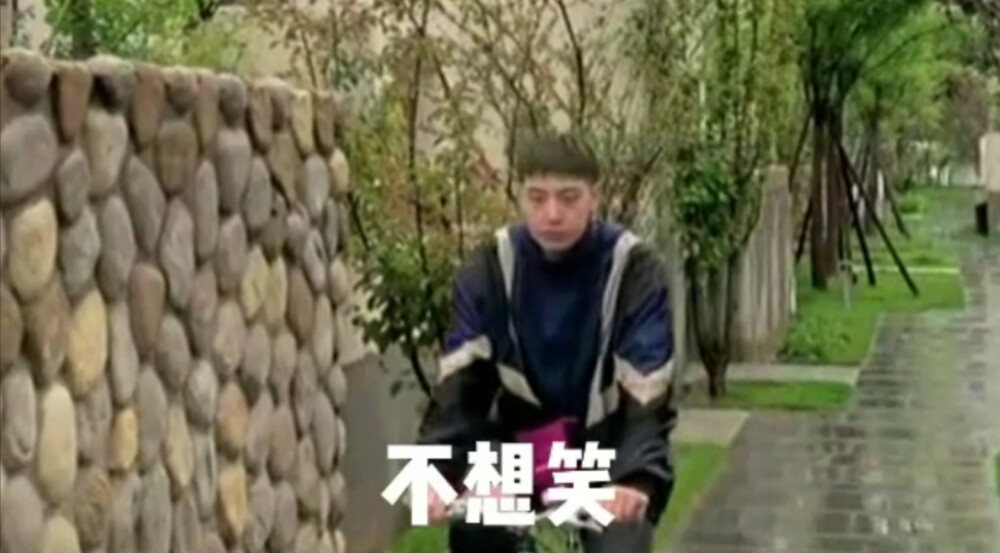 王九龙表情包