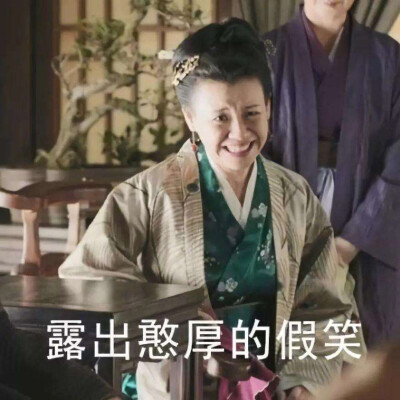 知否知否应是绿肥红瘦 大娘子（王琳）表情包