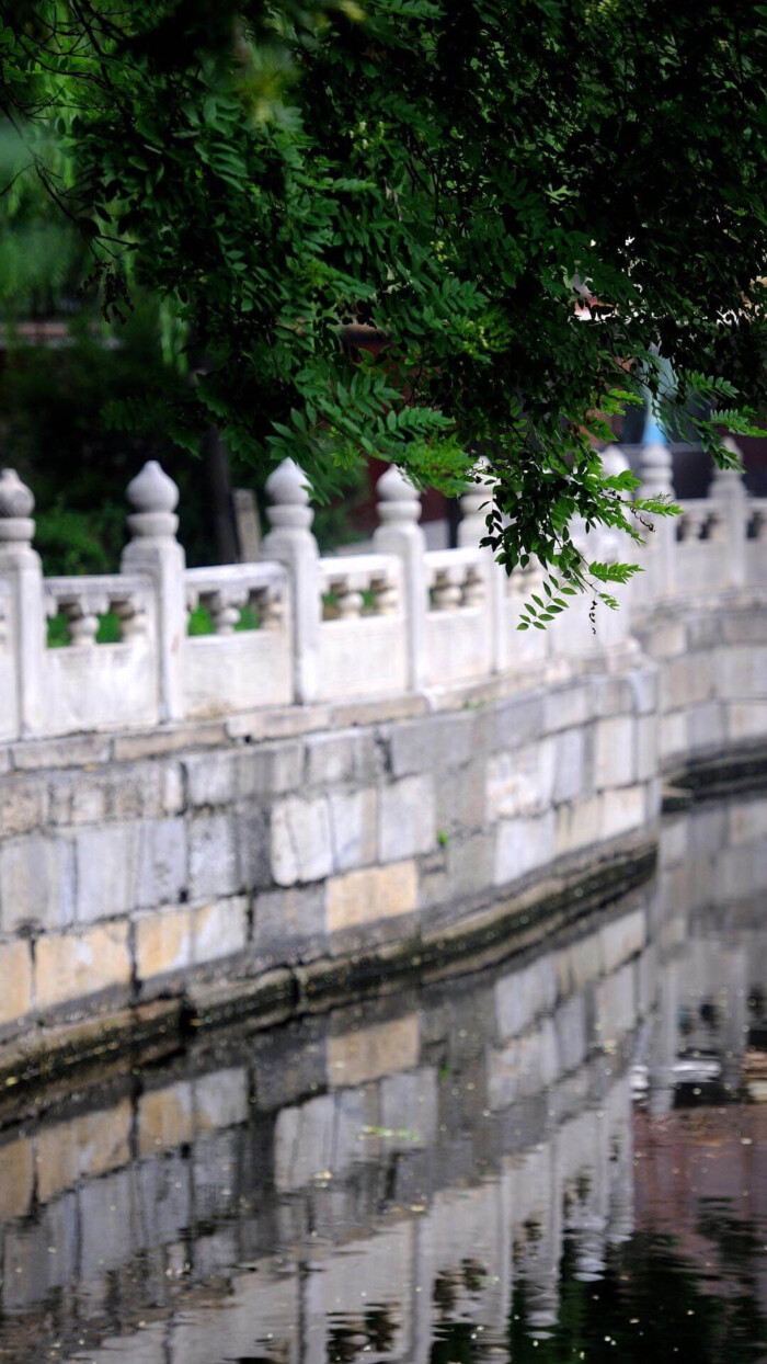 【原创】《小满那天，我没有写诗》
小满那天，我没有写诗
槐花的香还在，遗落进梦里
脚步匆匆，追赶着光阴
小满，已在不经意间踅过枝头
绿了田野，还有忙碌的心情
被风摇曳着，洒满乡间的小路
禾苗渴雨，望望辽远的天空
每一朵低下的云，都是一片希望
青杏还小， 隐于繁密
很像我酸涩的文字，等一次成熟
乡路崎岖，夹杂着初夏的浓郁
我在平仄中，走出一片葱茏
文/陈宝文，笔名墨篱、云舒，河北省平泉市人，喜欢自由自在的生活，2015年开始学习写作诗歌。
图/堆糖 #小满# #诗歌#