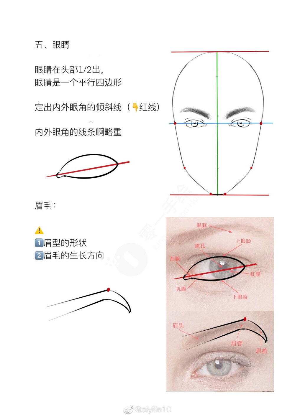 人脸比例