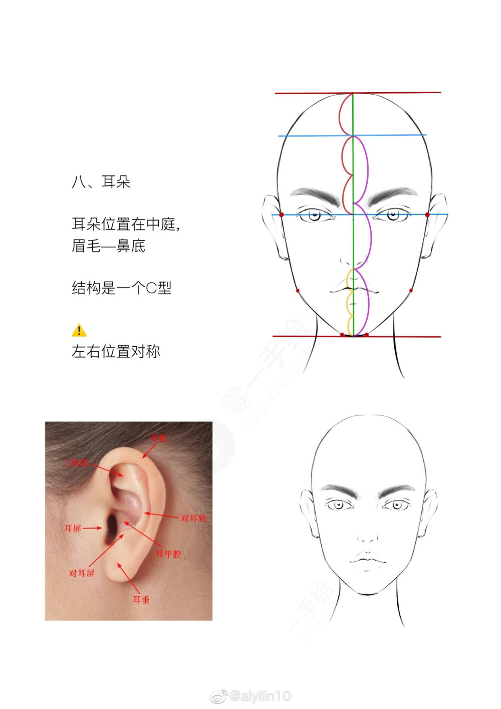 人脸比例