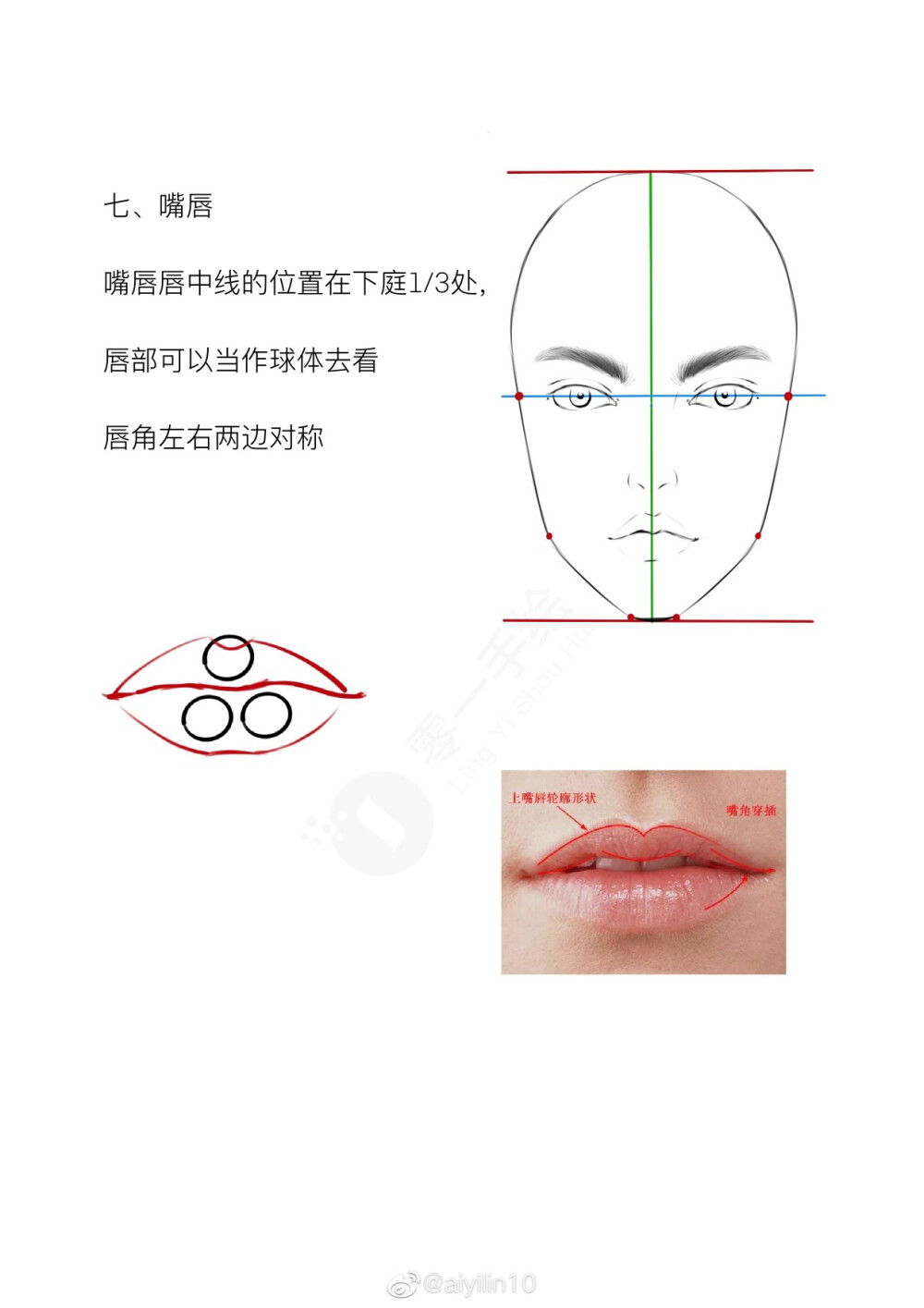 人脸比例