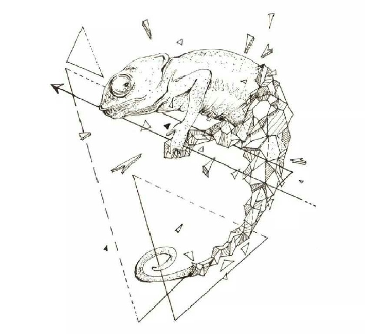 Broken Geometry: 几何体结合动物植物，生灵，有一种理科的美感。绘画的灵感来源：Kerby Rosanes几何动物插画作品丨via 胡呼呼_Cassie（转自 微博@插画视觉）