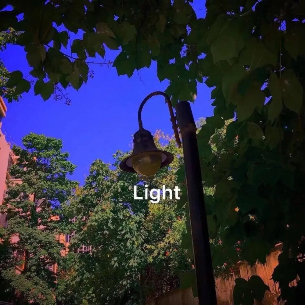 Ich liebe dich
（一波杂图给爱的你们～）
来自weibo