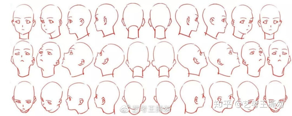 头部各种角度
临摹人体参考