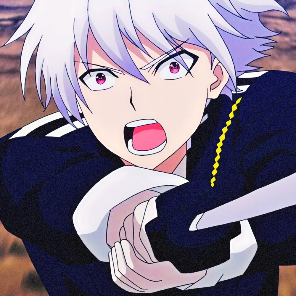 番剧：星掠者
角色：里希特·巴哈