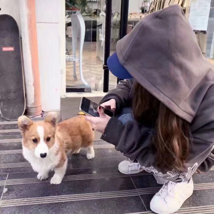 优质混网玩网部位女头