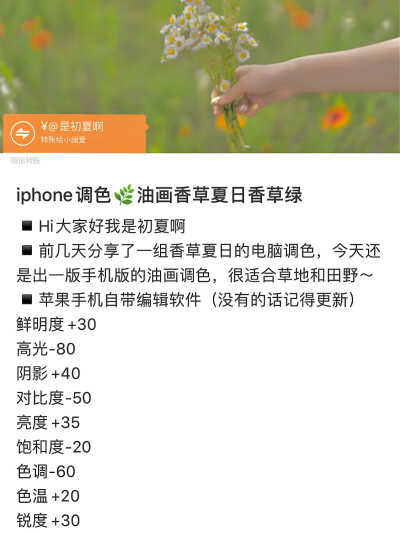 IPhone 调色 油画香草夏日香草绿
（图源于小红s是初夏啊）