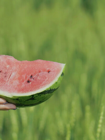 IPhone 调色 油画香草夏日香草绿
（图源于小红s是初夏啊）