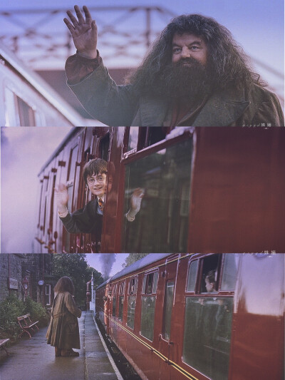 HP