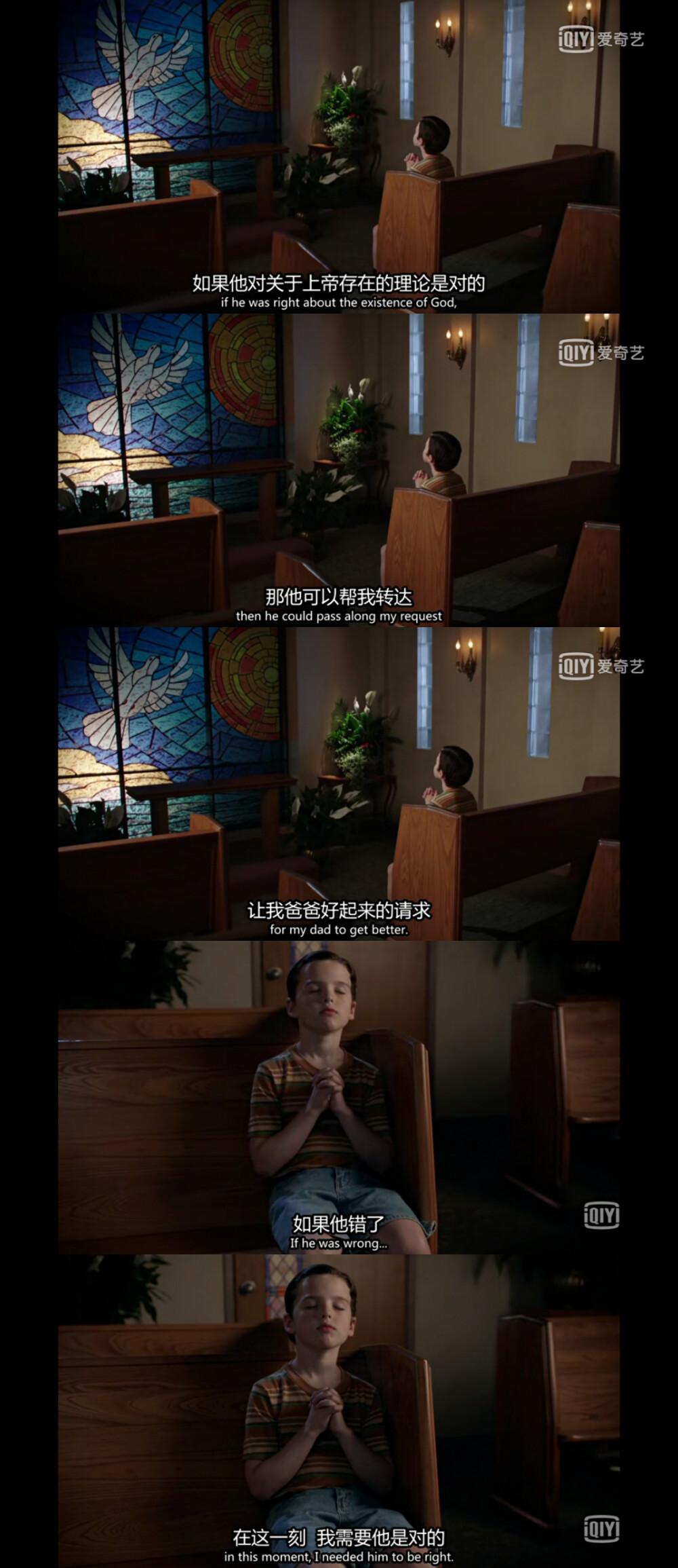 小谢尔顿—自截