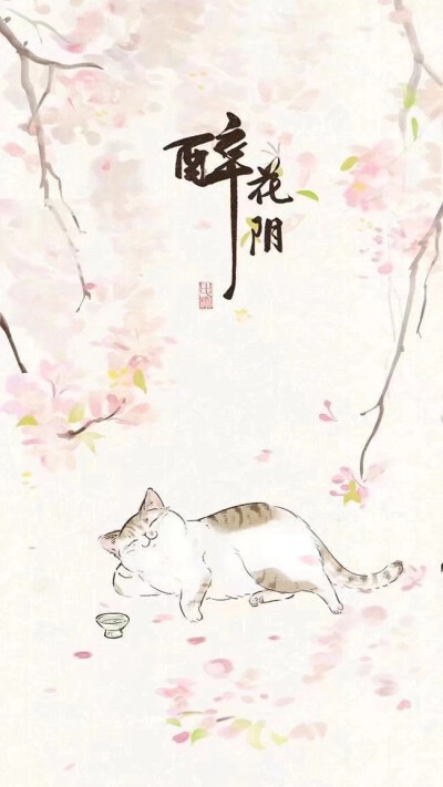 可爱滴小猫咪