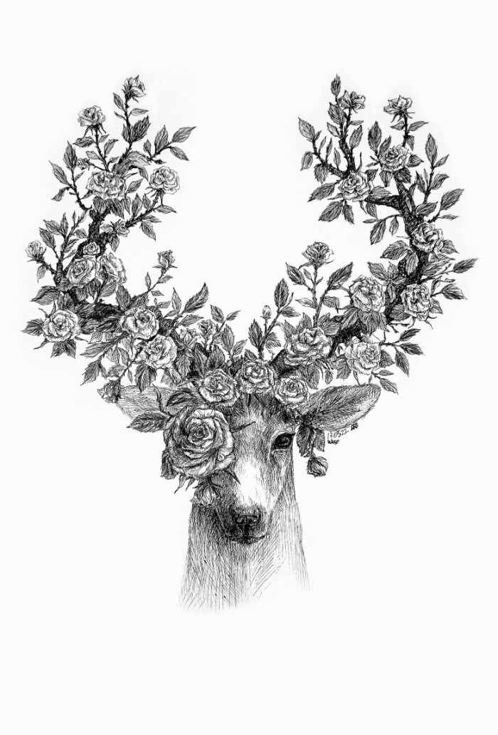 黑白插画