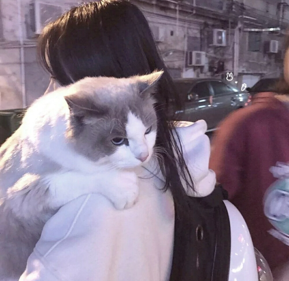 优质女头
江念九