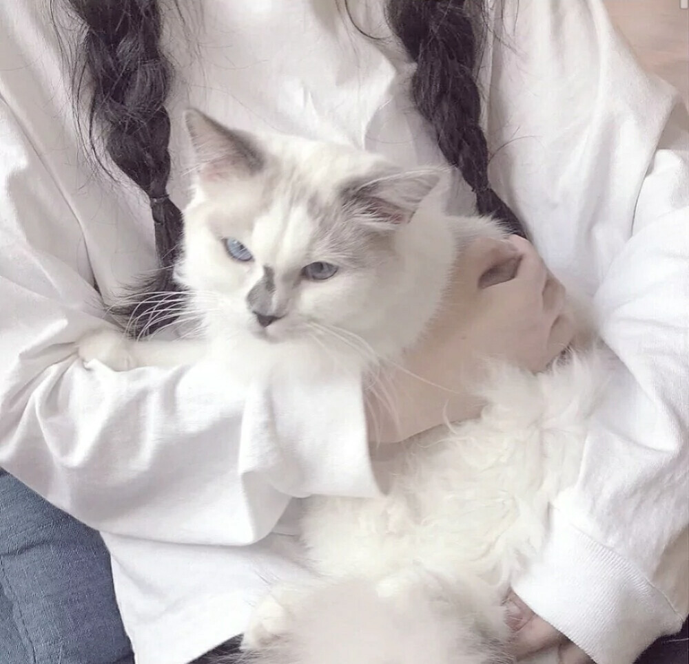 优质女头
江念九