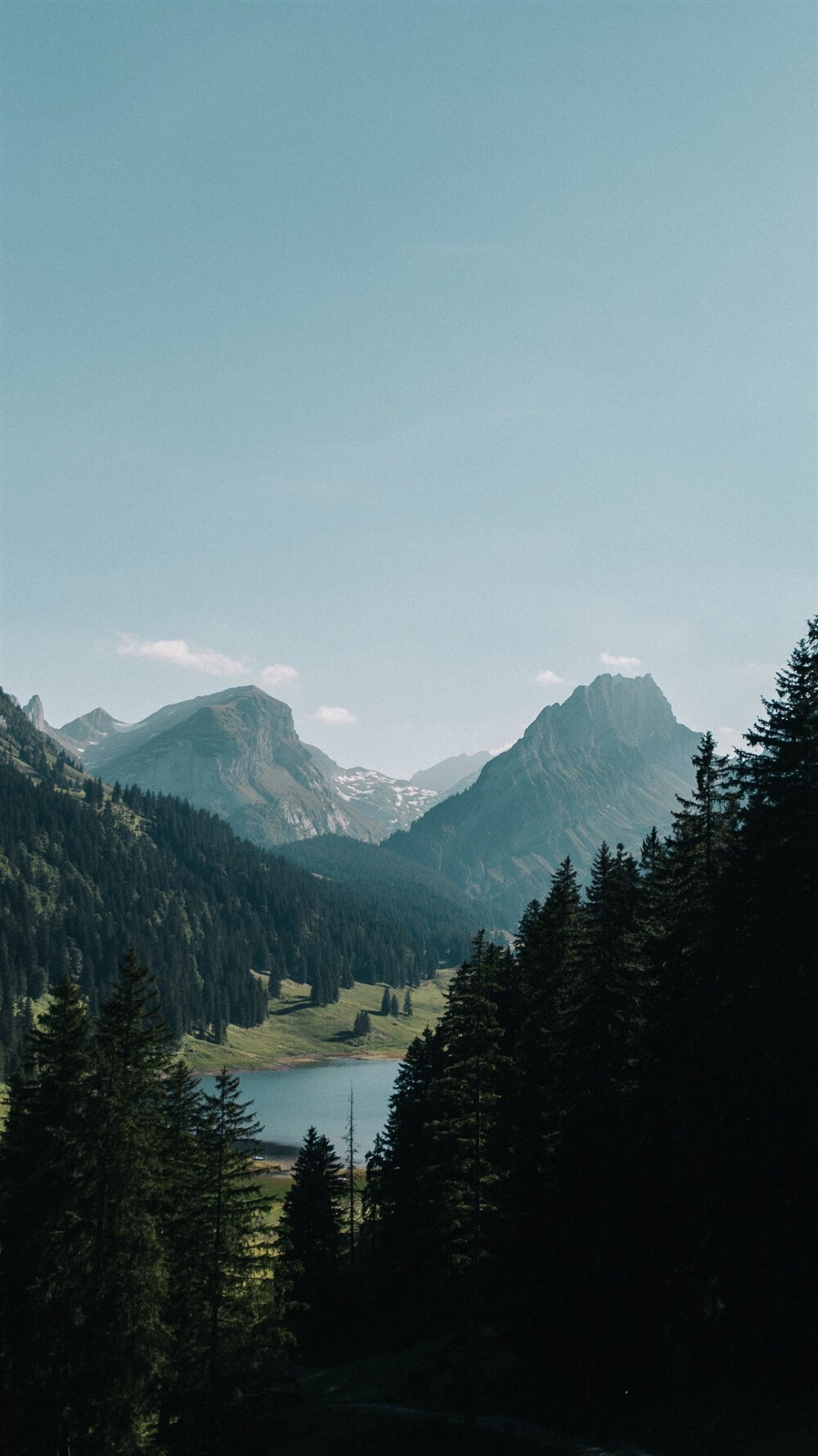 油画风景