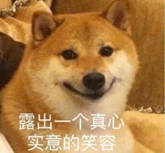 狗狗
表情包