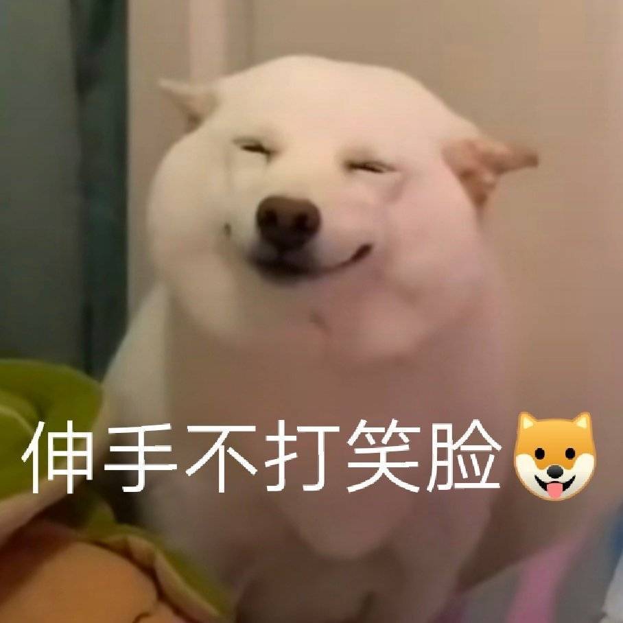 狗狗
表情包