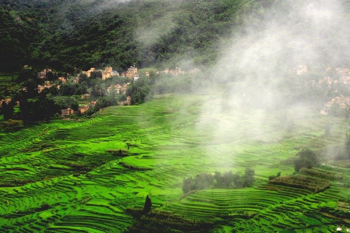 【原创】《五月风雨日偶成》
昨夜风雨急，
扰梦五更起。
初闻蛙鸣声，
偷藏碧叶里。
《游清悦山庄》
五月柳轻扬，
麦绿夏满忙。
幽径掩绿荫，
锦带花微香。
紫薇叶轻扬，
蜀葵苗正壮。
樱花悄落尽，
栀子扮浓妆。
雀戏鸟语欢，
莺歌燕舞忙。
村杏味仍酸，
花落果未黄。
待到芒种日，
还来细品尝。
20200522 文/ 洪波（山东烟台）
图/最美古风诗词 “细雨清晨润绿田，不问人间扰扰缘”