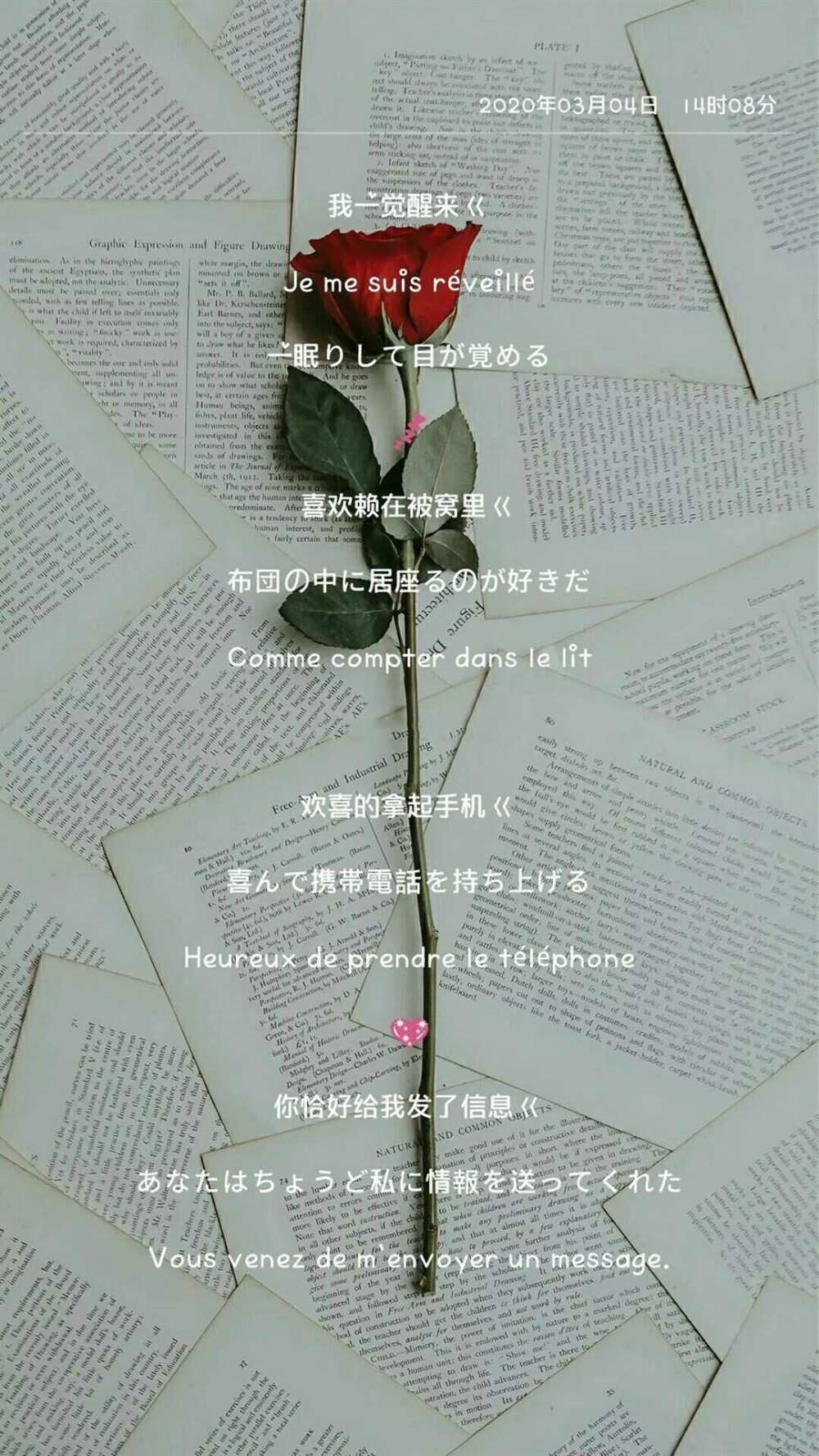 ✐壁纸 ‖千雪いもうと‖日更，感谢关注
✟花花草草难一木，走走停停寻一悟，庸庸平平无是处，一愚一智一糊涂。