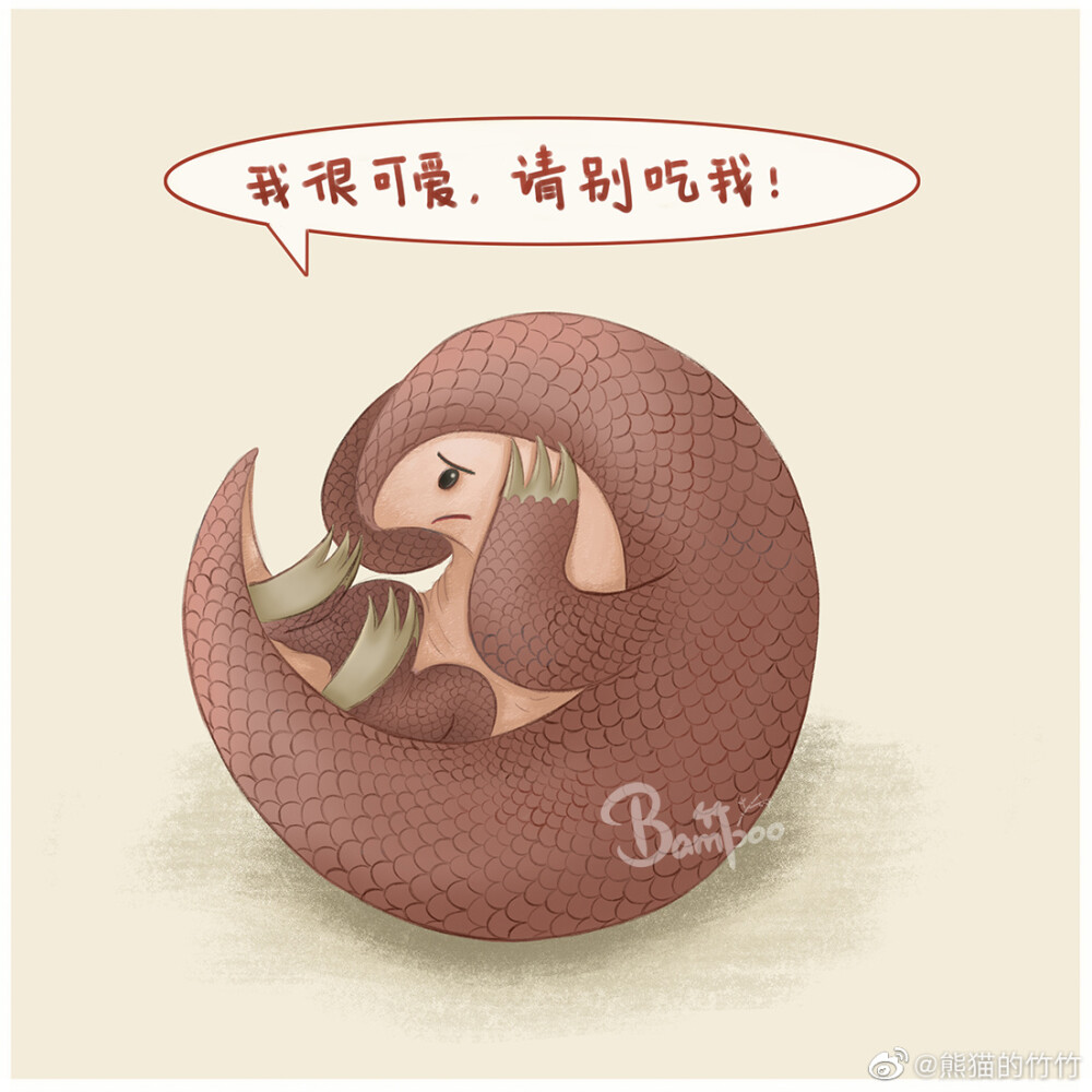 野生动物