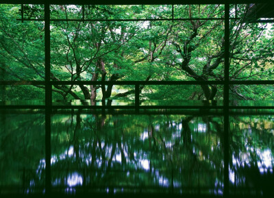 京都·琉璃光院
春來夏往 秋收冬藏 綠意青苔 光影繽紛
琉璃光院的美，在于它四周被茂盛的植被所包圍，使其在每個季節(jié)都有不同的韻味~ ?