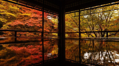 京都·琉璃光院
春來夏往 秋收冬藏 綠意青苔 光影繽紛
琉璃光院的美，在于它四周被茂盛的植被所包圍，使其在每個季節(jié)都有不同的韻味~ ?