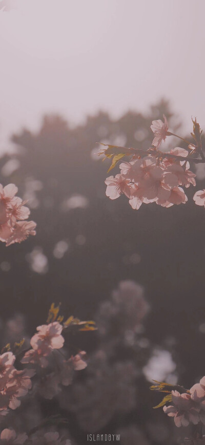 有些人只要捕捉到一个瞬间
就知道他已经死了