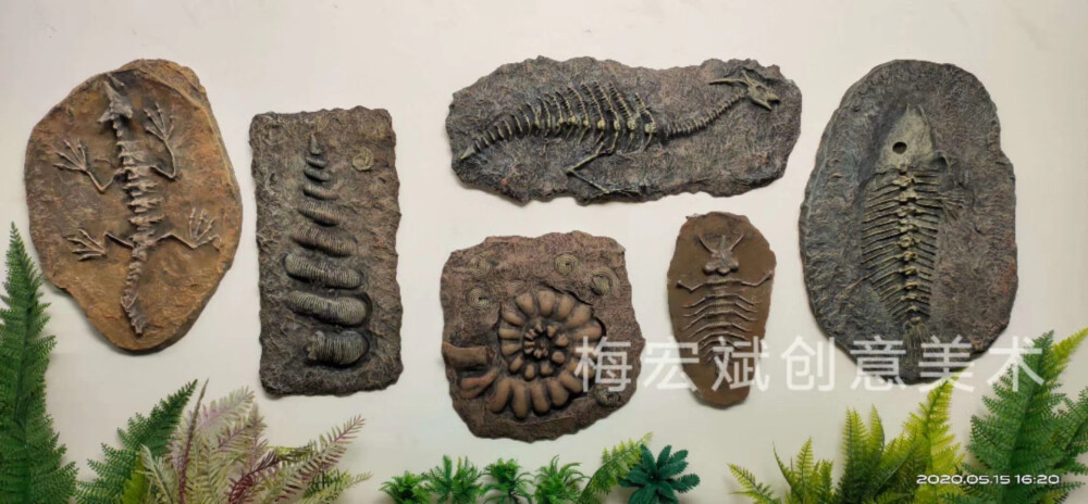 远古生物化石浮雕