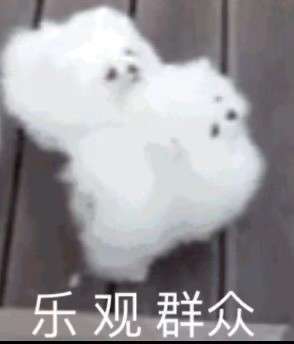 狗狗