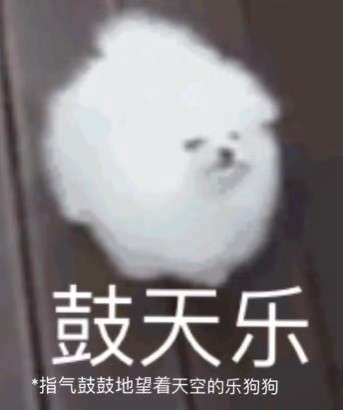 狗狗