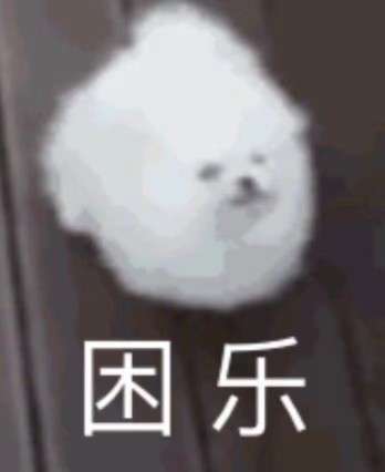 狗狗