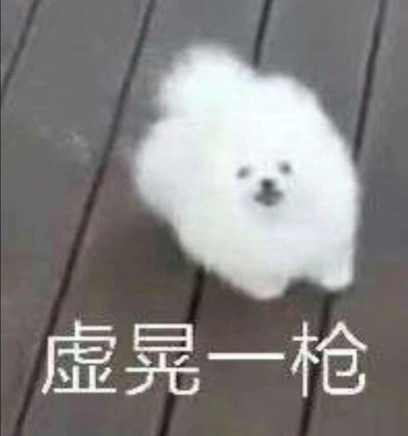 狗狗