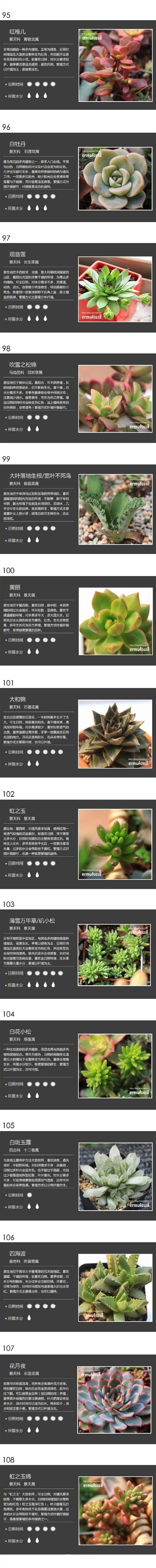 多肉植物的养护方法