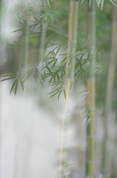 问君归期未有期