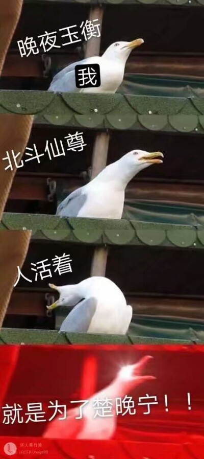 二哈