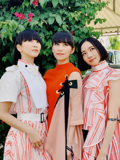 Perfume
图源官推